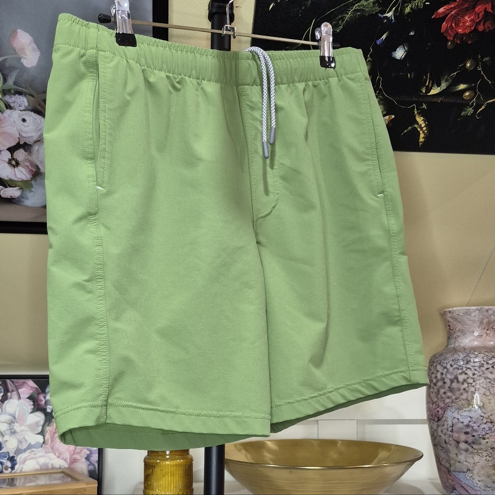 Myles Men's Athletic Shorts in Light Green 1738/445